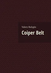 Valery Bulygin - Coiper Belt