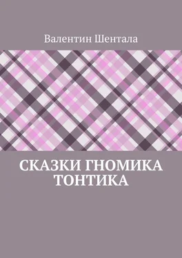 Валентин Шентала Сказки гномика Тонтика обложка книги