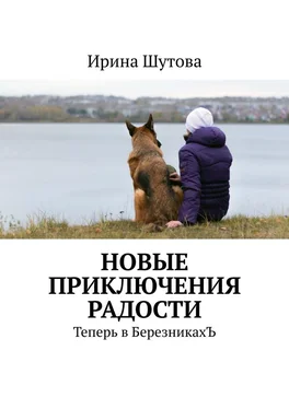 Ирина Шутова Новые приключения Радости. Теперь в БерезникахЪ обложка книги