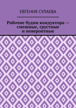 Евгения Сулаева Рабочие будни кондуктора – смешные, грустные и невероятные обложка книги