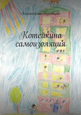 Александрина Верховцова Котейкина самоизоляция обложка книги