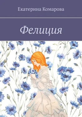 Екатерина Комарова Фелиция обложка книги