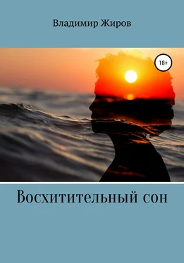 Владимир Жиров Восхитительный сон обложка книги