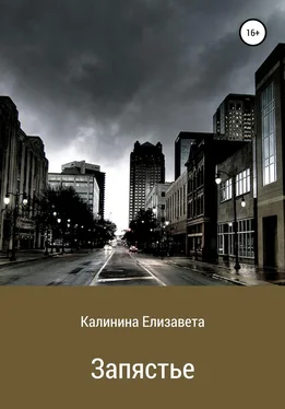 Елизавета Калинина Запястье обложка книги