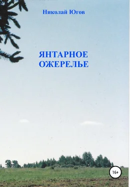 Николай Югов Янтарное ожерелье обложка книги