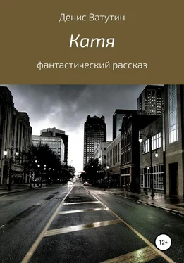 Денис Ватутин Катя обложка книги