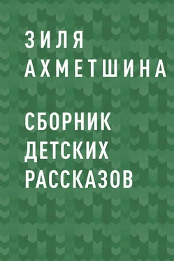 Зиля Ахметшина Сборник детских рассказов обложка книги