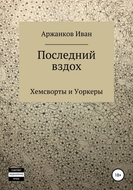 Иван Аржанков Последний вздох обложка книги