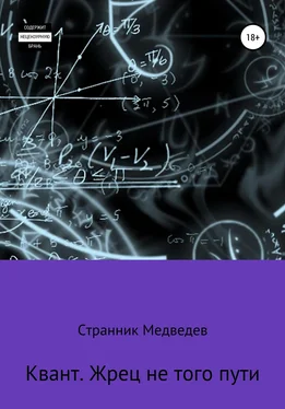 Странник Медведев Квант. Жрец не того пути обложка книги