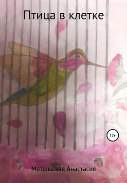 Анастасия Метельская Птица в клетке обложка книги
