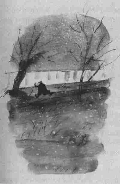 Две вещи летом и зимой составляли непременную принадлежность господина Зоммера - фото 7