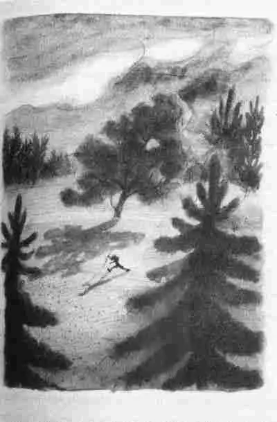 Одинединственный раз я услышал от господина Зоммера законченную фразу ясно и - фото 9