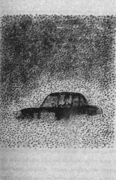 Через две минуты все кончилось Град вдруг прекратился ветер утих Теперь - фото 10