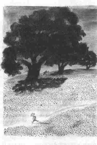 И на меня обрушилась целая лавина объяснений которых я даже не слышал и уж тем - фото 14