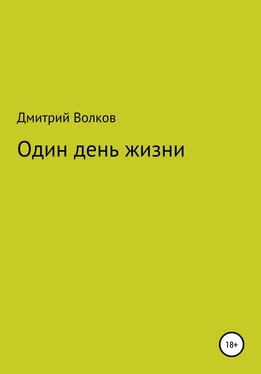 Дмитрий Волков Один день жизни обложка книги