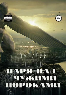 Василий Попов Паря над чужими пороками обложка книги
