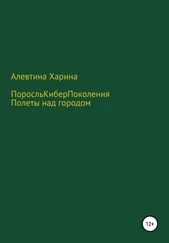 Алевтина Харина - ПКП. Полеты над городом