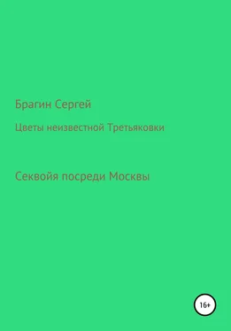 Сергей Брагин Цветы неизвестной Третьяковки обложка книги
