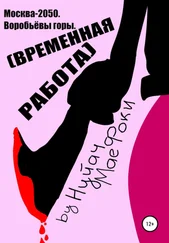 Нуйач Маефоки - Москва-2050. Воробьёвы горы. Временная работа