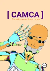 Анастасия Барабошкина - Самса