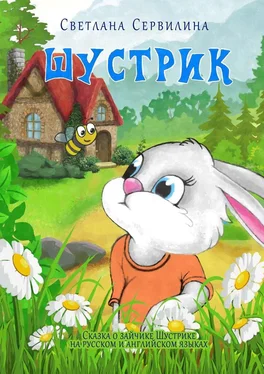 Светлана Сервилина Шустрик обложка книги