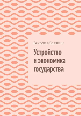 Вячеслав Селянин Устройство и экономика государства обложка книги