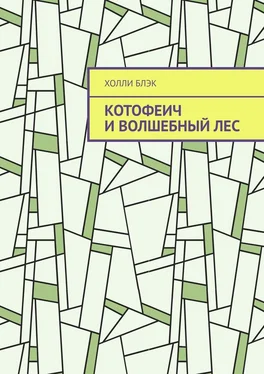 Холли Блэк Котофеич и Волшебный Лес обложка книги