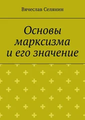 Вячеслав Селянин - Основы марксизма и его значение