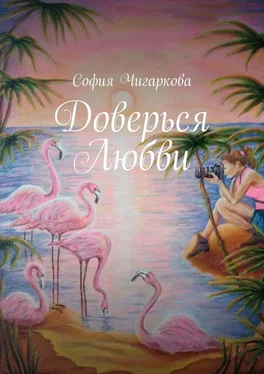 София Чигаркова Доверься Любви обложка книги