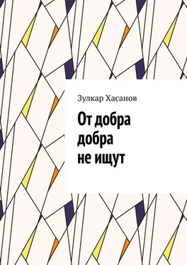 Зулкар Хасанов От добра добра не ищут обложка книги