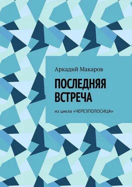 Аркадий Макаров Последняя встреча. Из цикла «Черезполосица» обложка книги