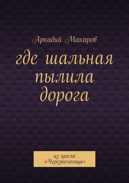 Аркадий Макаров Где шальная пылила дорога. Из цикла «Черезполосица» обложка книги