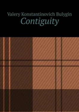 Valery Bulygin Contiguity обложка книги