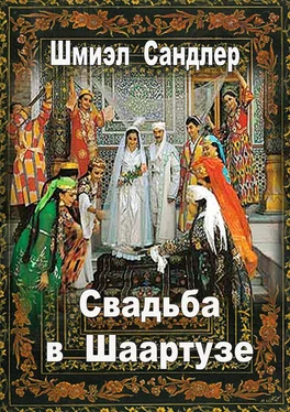 Шмиэл Сандлер Свадьба в Шаартузе обложка книги