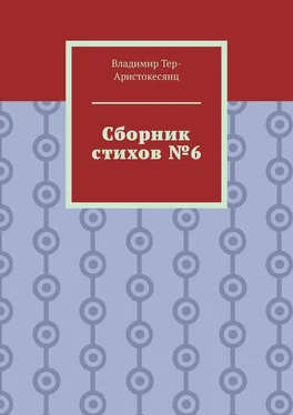 Владимир Тер-Аристокесянц Сборник стихов №6 обложка книги