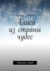 Денис Мейер - Алиса из страны чудес. Скрижаль миров