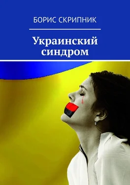 Борис Скрипник Украинский синдром обложка книги