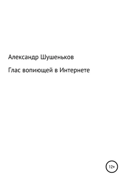 Александр Шушеньков Глас вопиющей в Интернете обложка книги