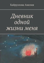 Амелия Хайруллова - Дневник одной жизни меня