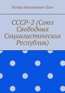 Игорь Цзю СССР-2 (Союз Свободных Социалистических Республик) обложка книги