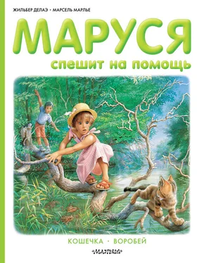 Марсель Марлье Маруся спешит на помощь: Кошечка. Воробей (сборник) обложка книги