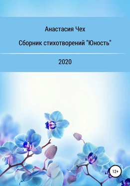 Анастасия Чех Сборник стихотворений «Юность» обложка книги