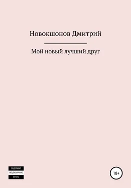 Дмитрий Новокшонов Мой новый лучший друг обложка книги