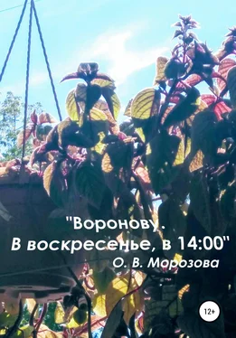 Ольга Морозова «Воронову. В воскресенье, в 14:00» обложка книги