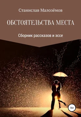 Станислав Малозёмов Обстоятельства места. Сборник рассказов и эссе обложка книги