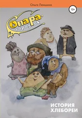 Ольга Люкшина - Опара – городок