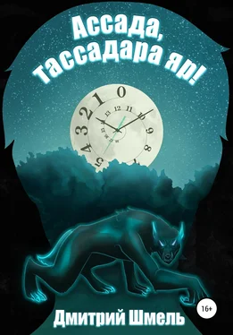 Дмитрий Шмель Ассада, тассадара яр! обложка книги