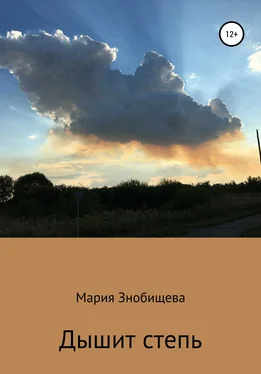 Мария Знобищева Дышит степь обложка книги