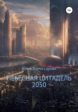 Юлия Комиссарова Небесная цитадель – 2050 обложка книги