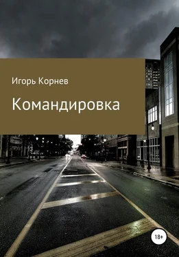 Игорь Корнев Командировка обложка книги